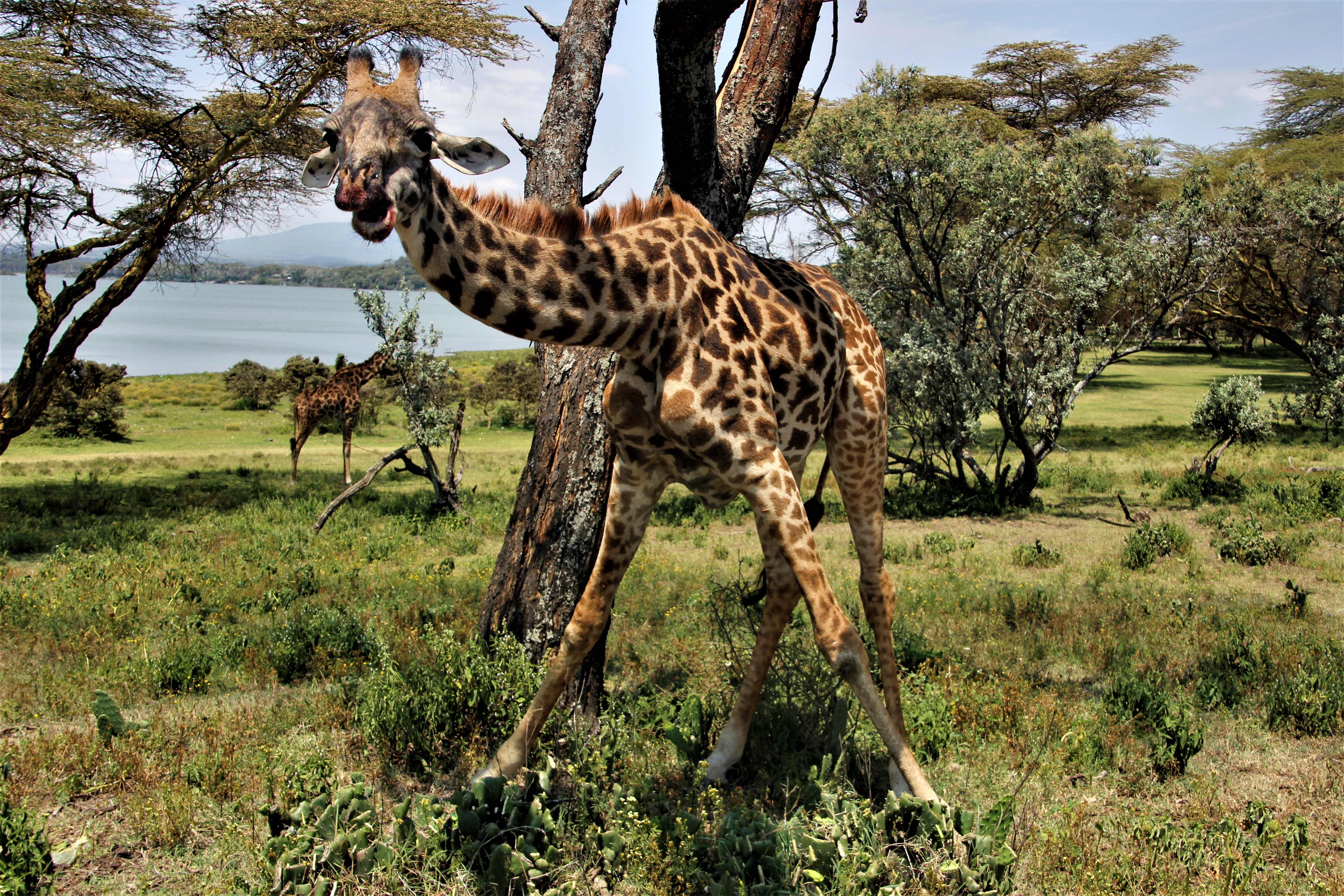 Keňské safari aneb jak si na chvíli odpočinout od lezení